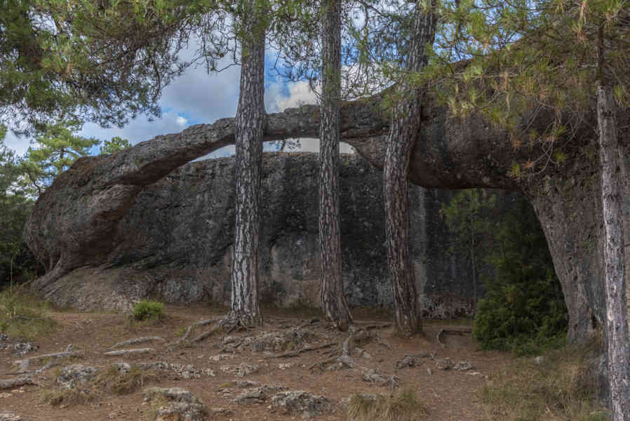 Cuenca - Valdecabras - Ciudad Encantada 37 - la lucha entre el Elefante y el Cocodrilo.jpg